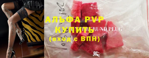 прущие грибы Арсеньев
