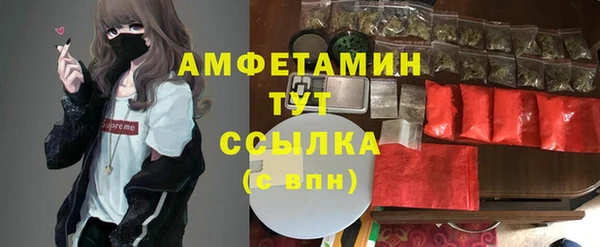 сатива Армянск