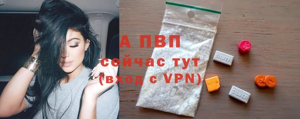 сатива Армянск
