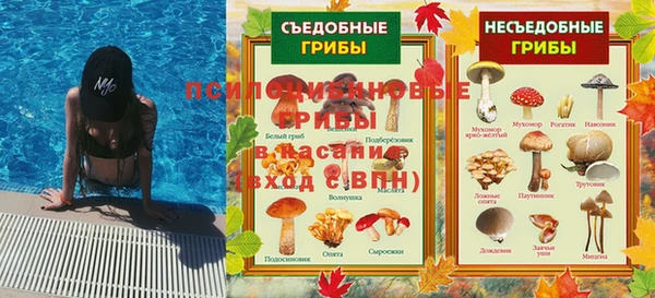 прущие грибы Арсеньев