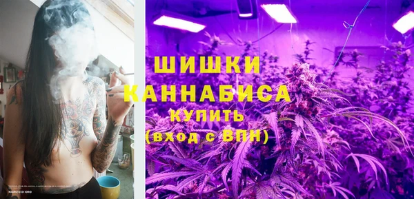 сатива Покачи
