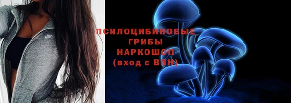 прущие грибы Арсеньев