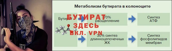 сатива Армянск