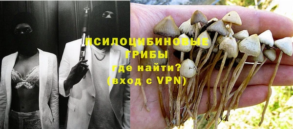 спайс Аркадак
