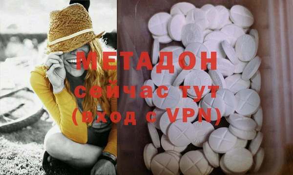 прущие грибы Арсеньев