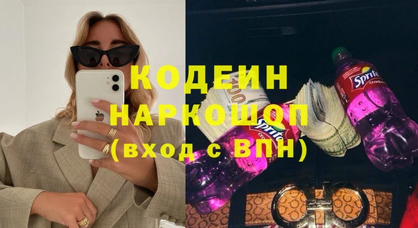 прущие грибы Арсеньев