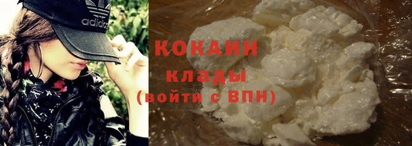 прущие грибы Арсеньев