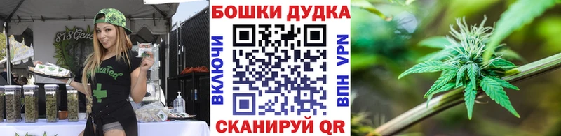 Купить  Приморск  Канабис сатива 